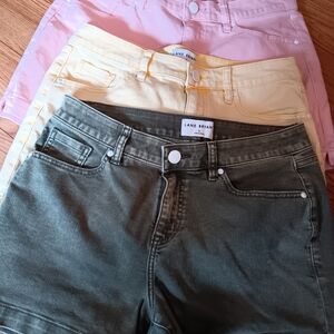 Lane Bryant Women's Jean Shorts - Green, Yellow, Pink 12